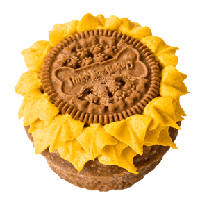 sunflower-pupcake-overhead_5727909946_o_v1_current