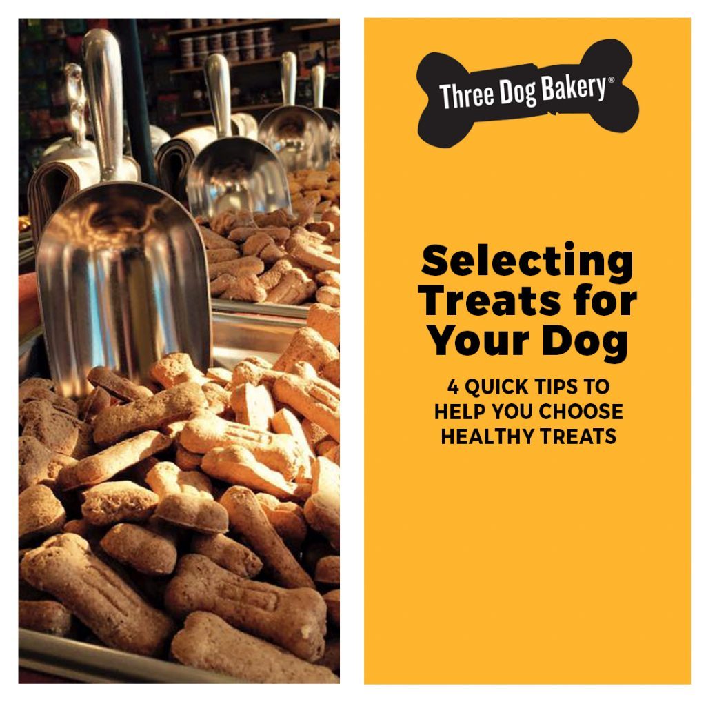 4 Tips on Selecting Treats for Your Dog